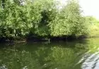 View of river from boat