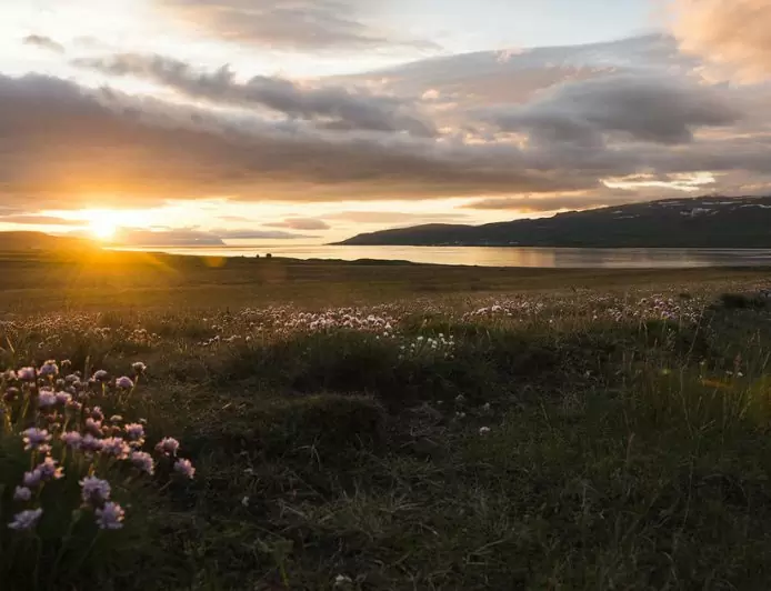 When is the summer solstice? When is the winter solstice?