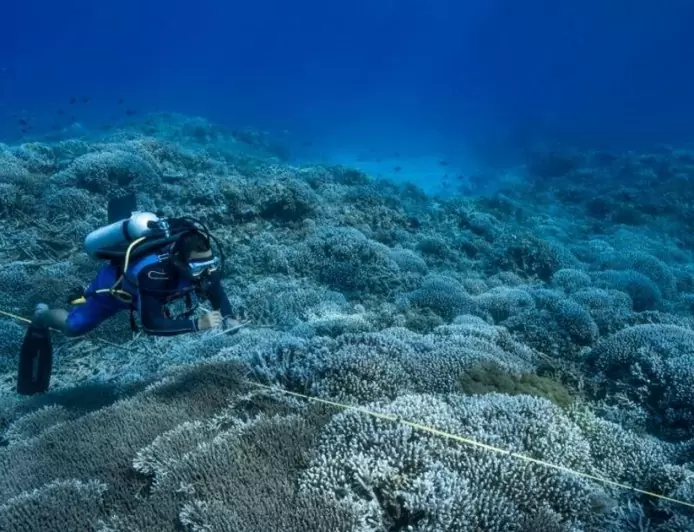 U.N. adopts first-ever treaty to govern the lawless high seas