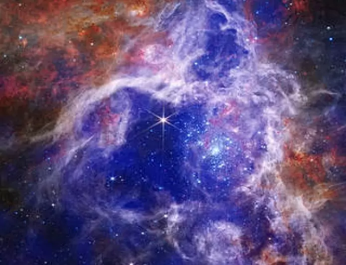 The Enduring Stellar Lifecycle in 30 Doradus