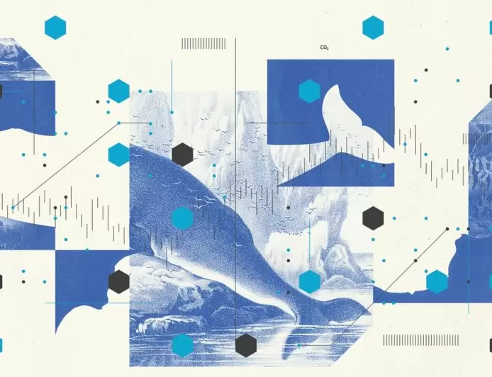 The Trillion-Dollar Auction to Save the World