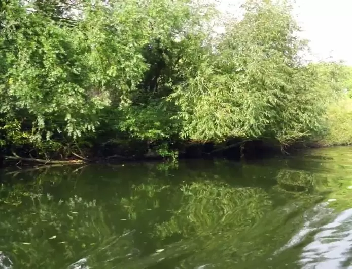 View of river from boat