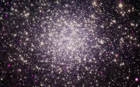 Chandra Catches Spider Pulsars Destroying Nearby Stars