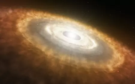 Webb Study Reveals Rocky Planets Can Form in Extreme Environments